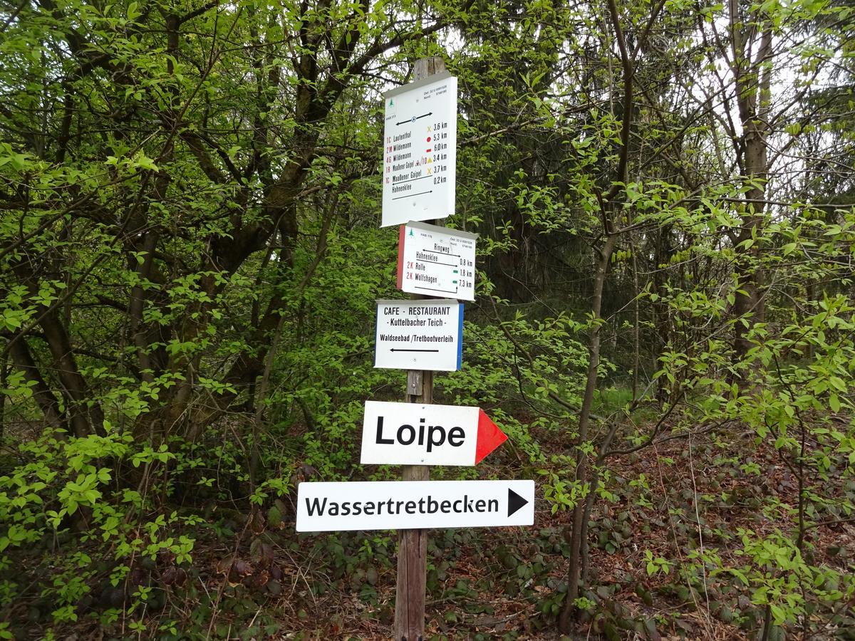Henne Hahnenklee Leilighet Goslar Eksteriør bilde