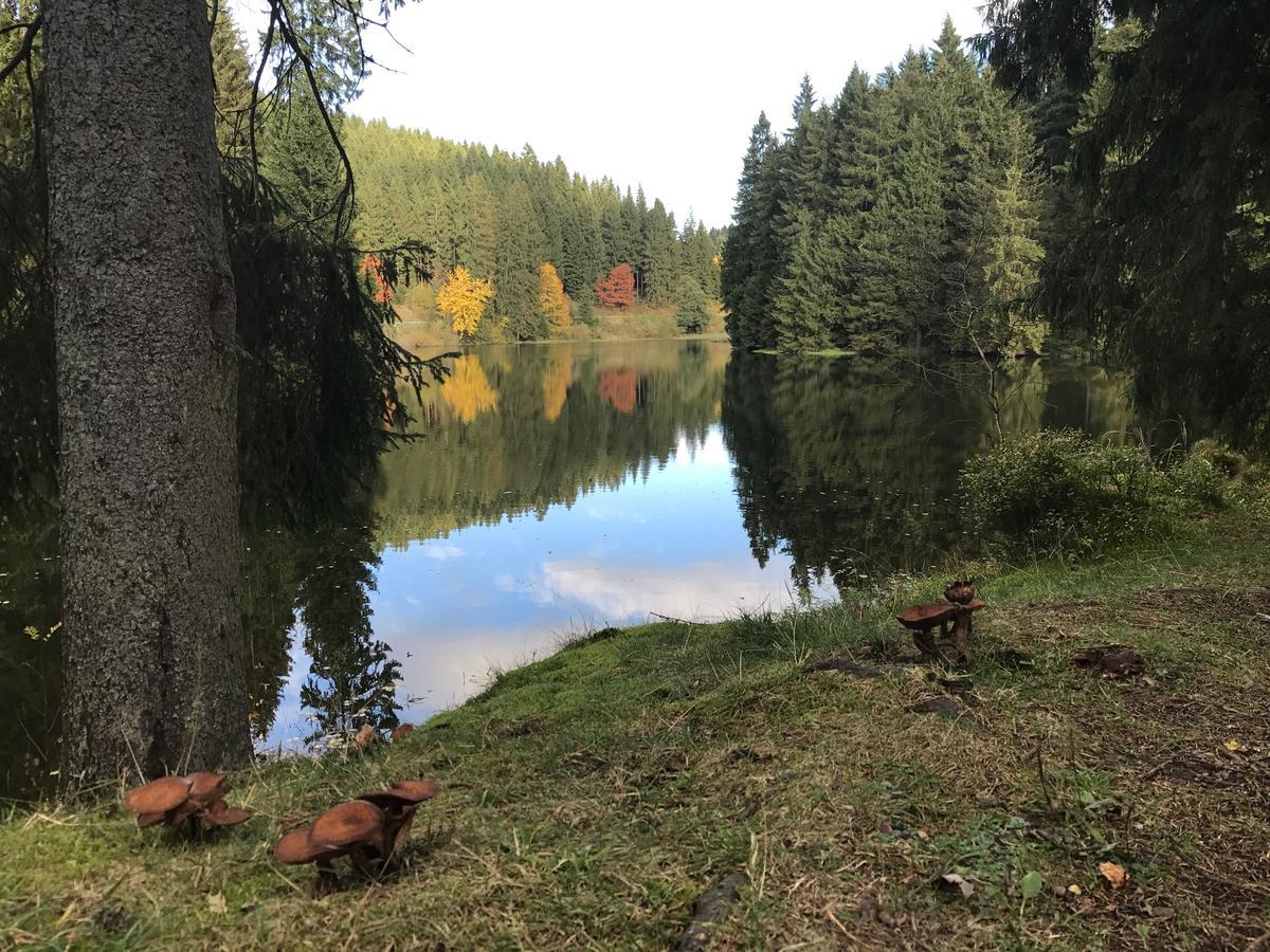 Henne Hahnenklee Leilighet Goslar Eksteriør bilde